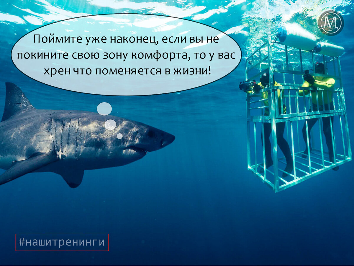 ** Тренинги личностного роста