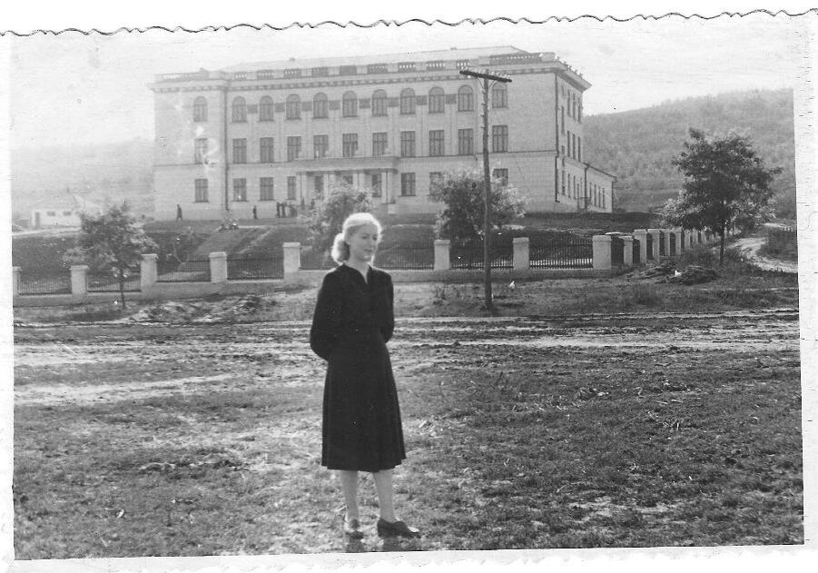 На фоне Ваду-луй-Водской школы