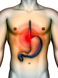 Фото https: //tseneg.mn