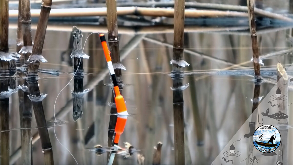 Весь февральский лед уместился на камышах