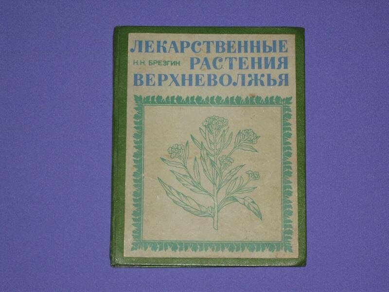 Фото из интернета