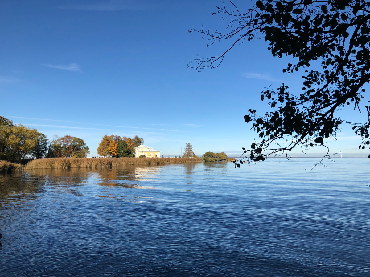 Путешествие в Питер и удаленная работа прекрасно сочетаются.