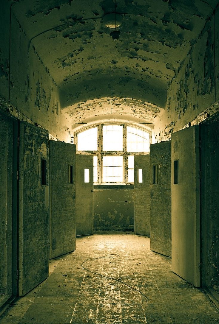 Фото взято из интернета