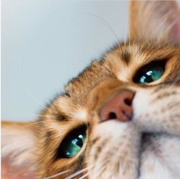 Источник фото: instagram.com 