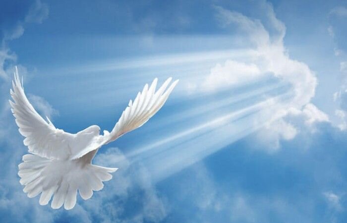 В день Святого Воскресенья я прошу  у Вас прощенья!