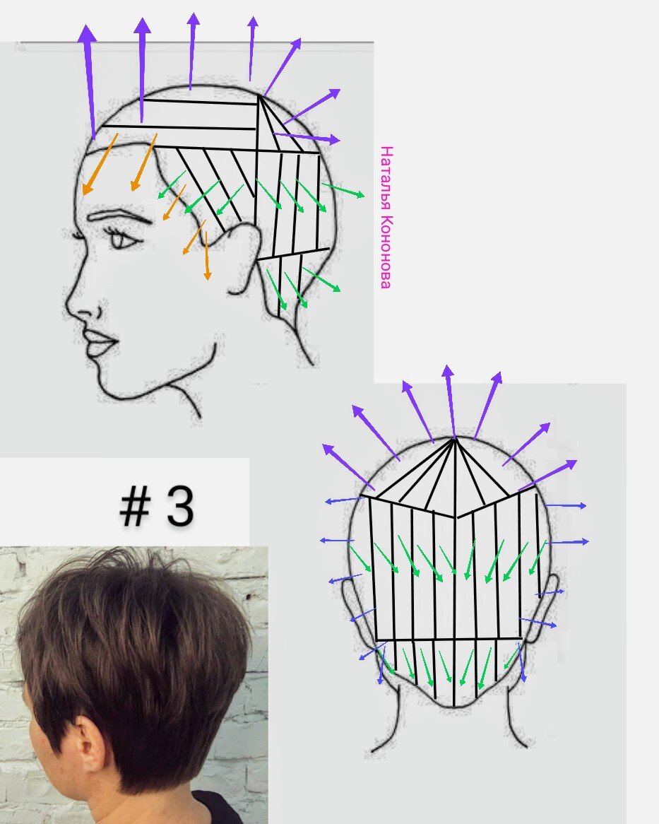 Схемы коротких стрижек. Технология стрижки Гарсон схема. Схема стрижки Пикси Боб. Градуированная стрижка схема выполнения. Стрижка Пикси схема выполнения стрижки с описанием.