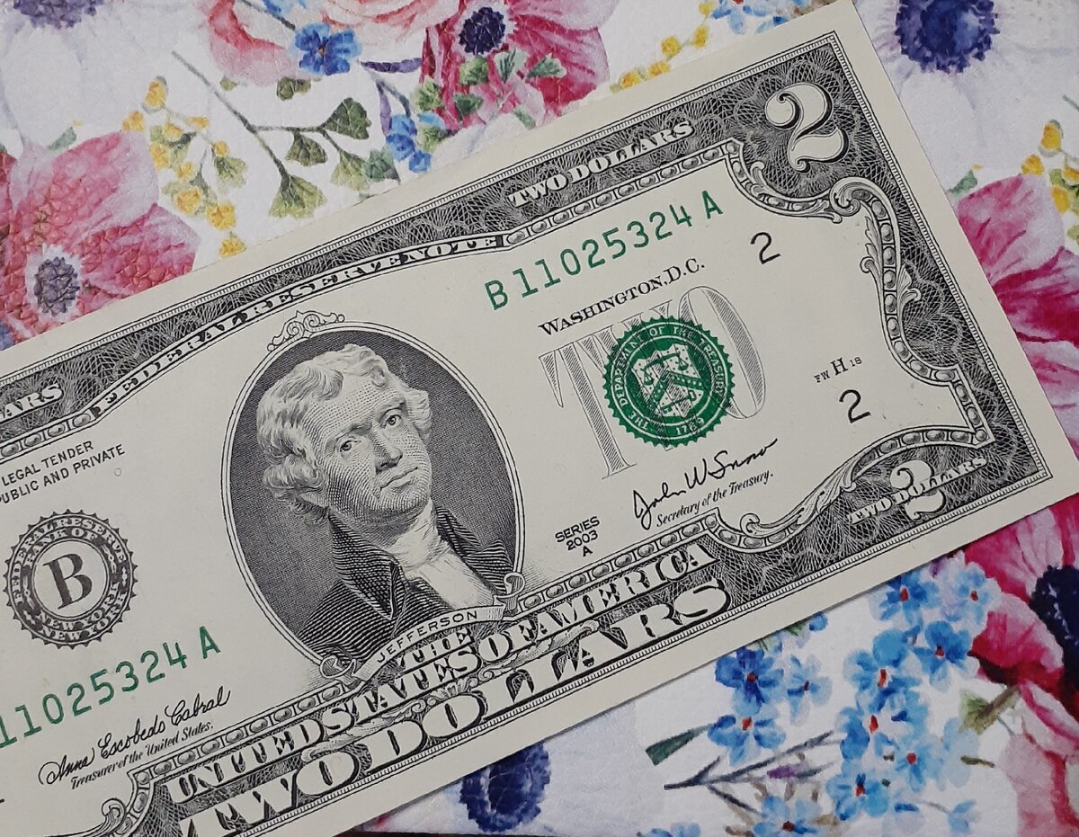 Подруга подарила, чтоб деньги водились