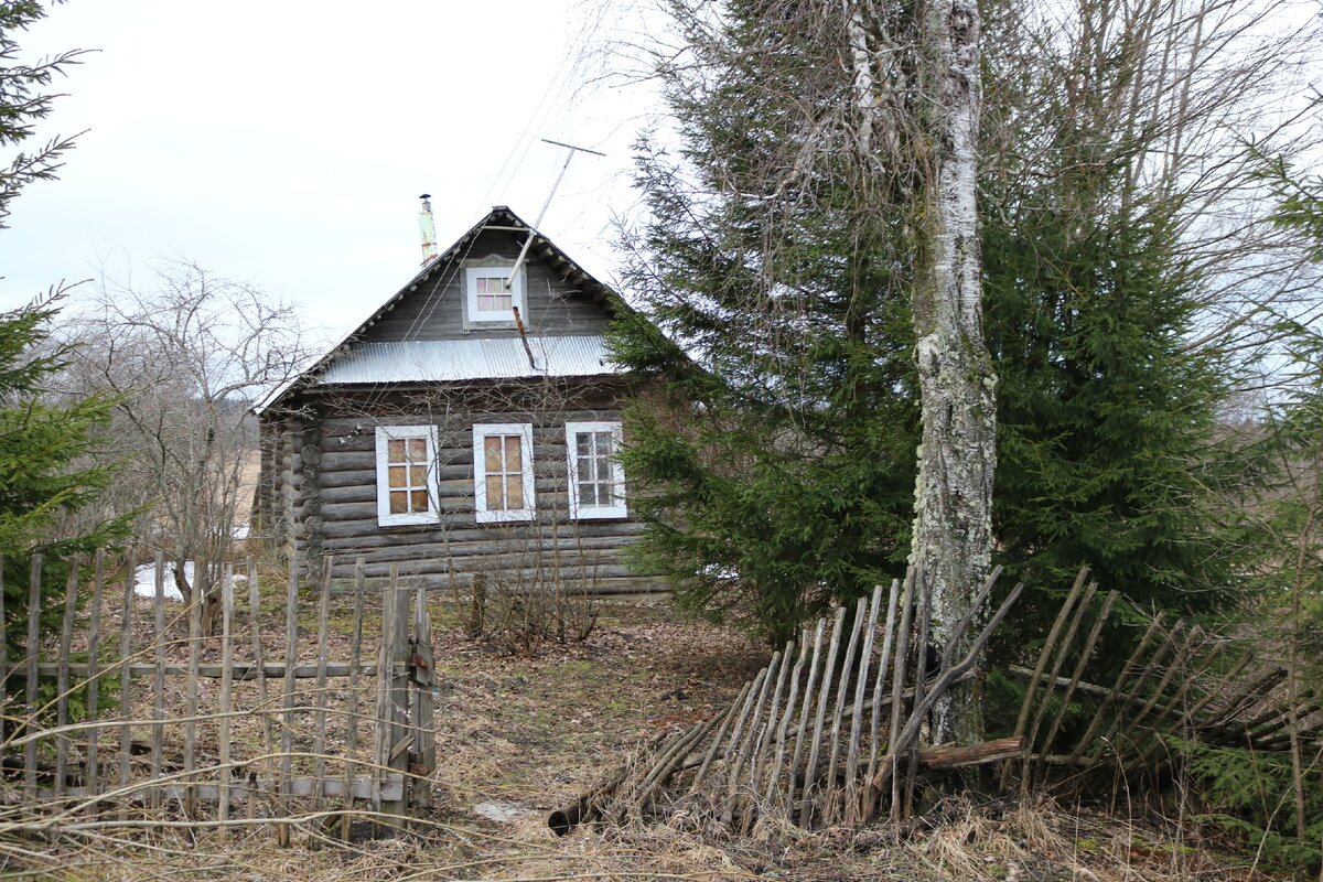 Деревни под Тверью. Лихославльский район. Март 2020 г. Фото: Art&Culture Яндекс.Дзен.