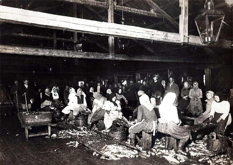 Разделка рыбы на одном из промыслов в г. Астрахань. Нач.  ХХ в. ГАСД Ф-3801, оп. 1, д-147.