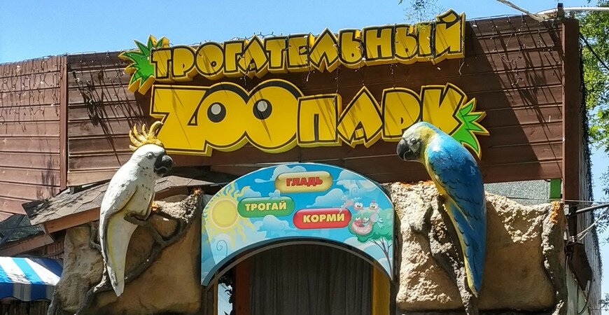 Фото из интернета