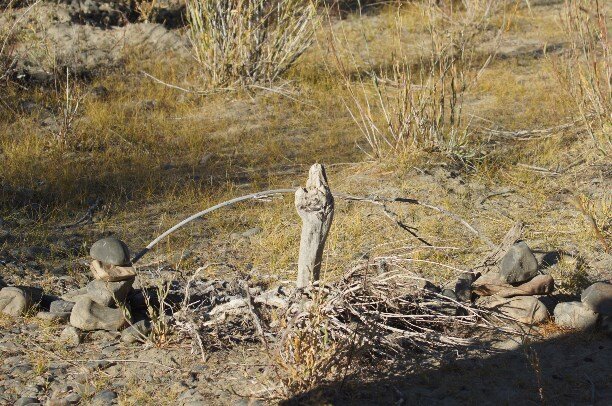 может я перепутешествовал к этому времени , но знамения меня тут преследовали...