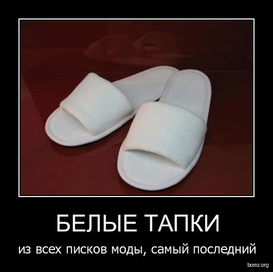 что значит тапки. что значит тапки. что значит тапки. кот в тапке. дорогие тапочки.