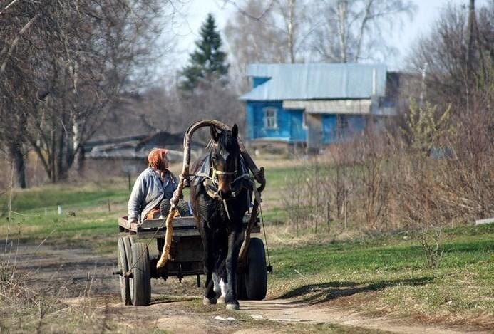 Картинка из свободного доступа Яндекс.Картинки