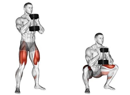 Мышцы участвующие в движении