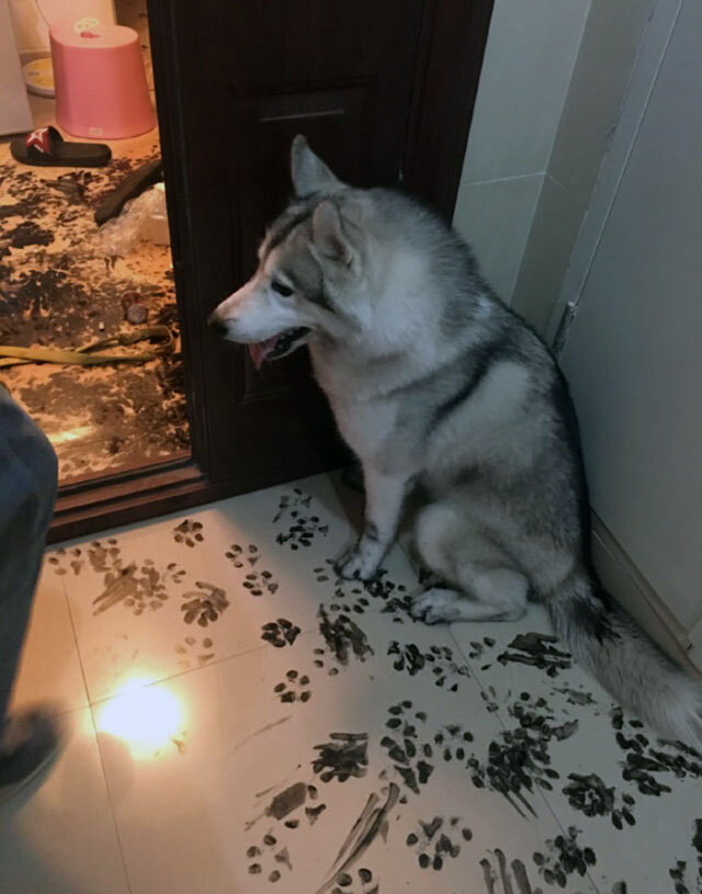 Он старался