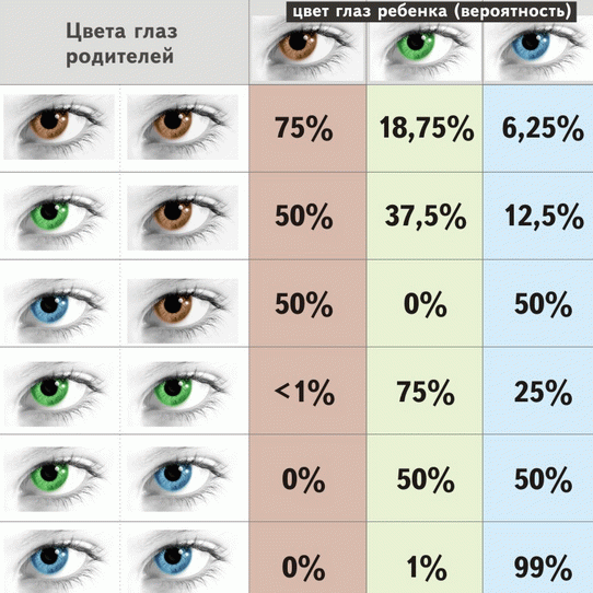 Когда меняется цвет глаз у малышей
