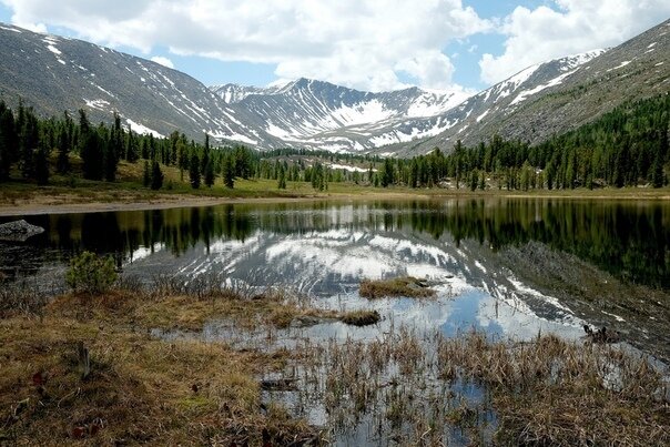 Автор — Татьяна Фатеева.