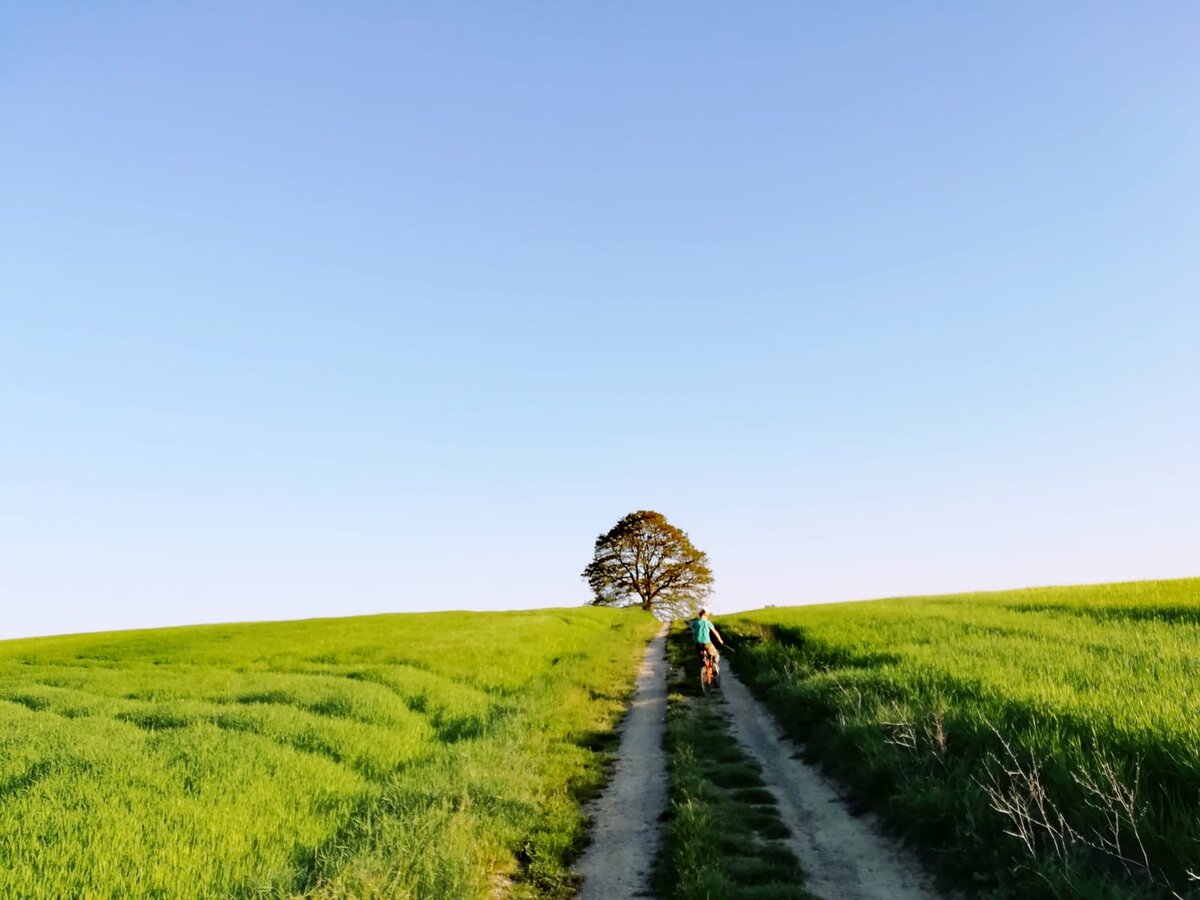 Тоскана, Италия