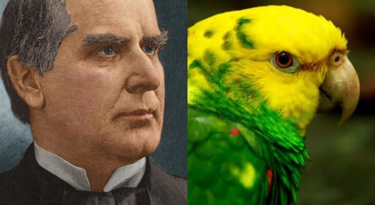 Фотоматериал: https://e-w-e.ru/