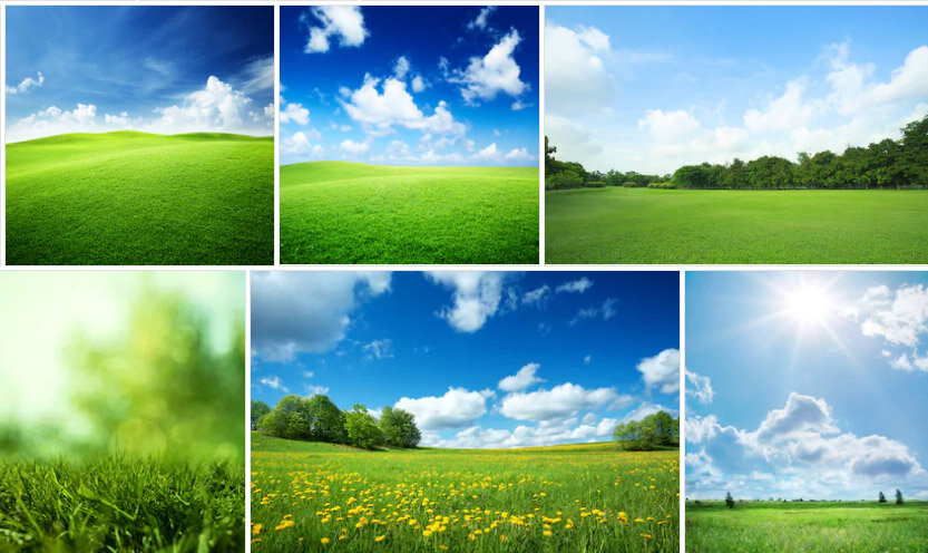 фото по запросу "трава и небо" shutterstock