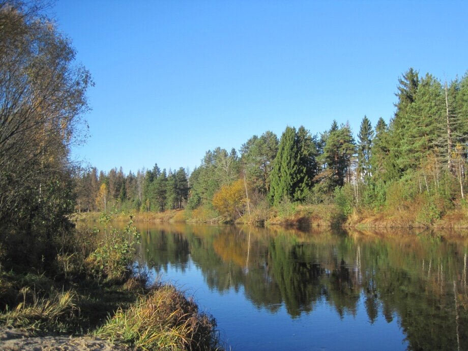 Река узола нижегородская область фото