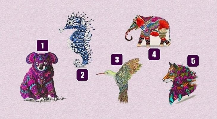 Фотоматериал: privately.ru/ pixabay.com/ru/