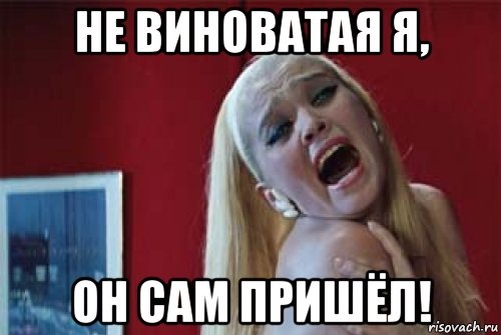 Фото из открытых источников.