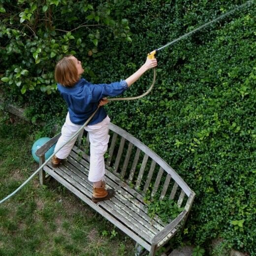 Фото: https://i.pinimg.com