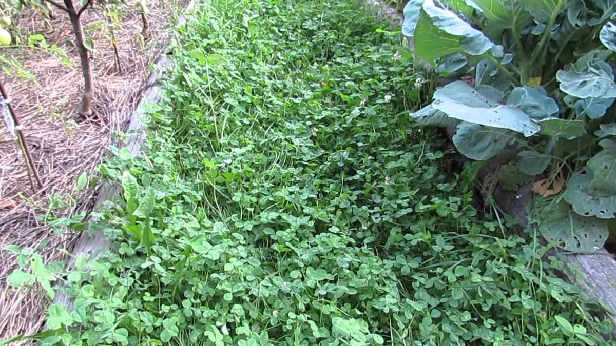 Использовано фото www.муп-апу.рф