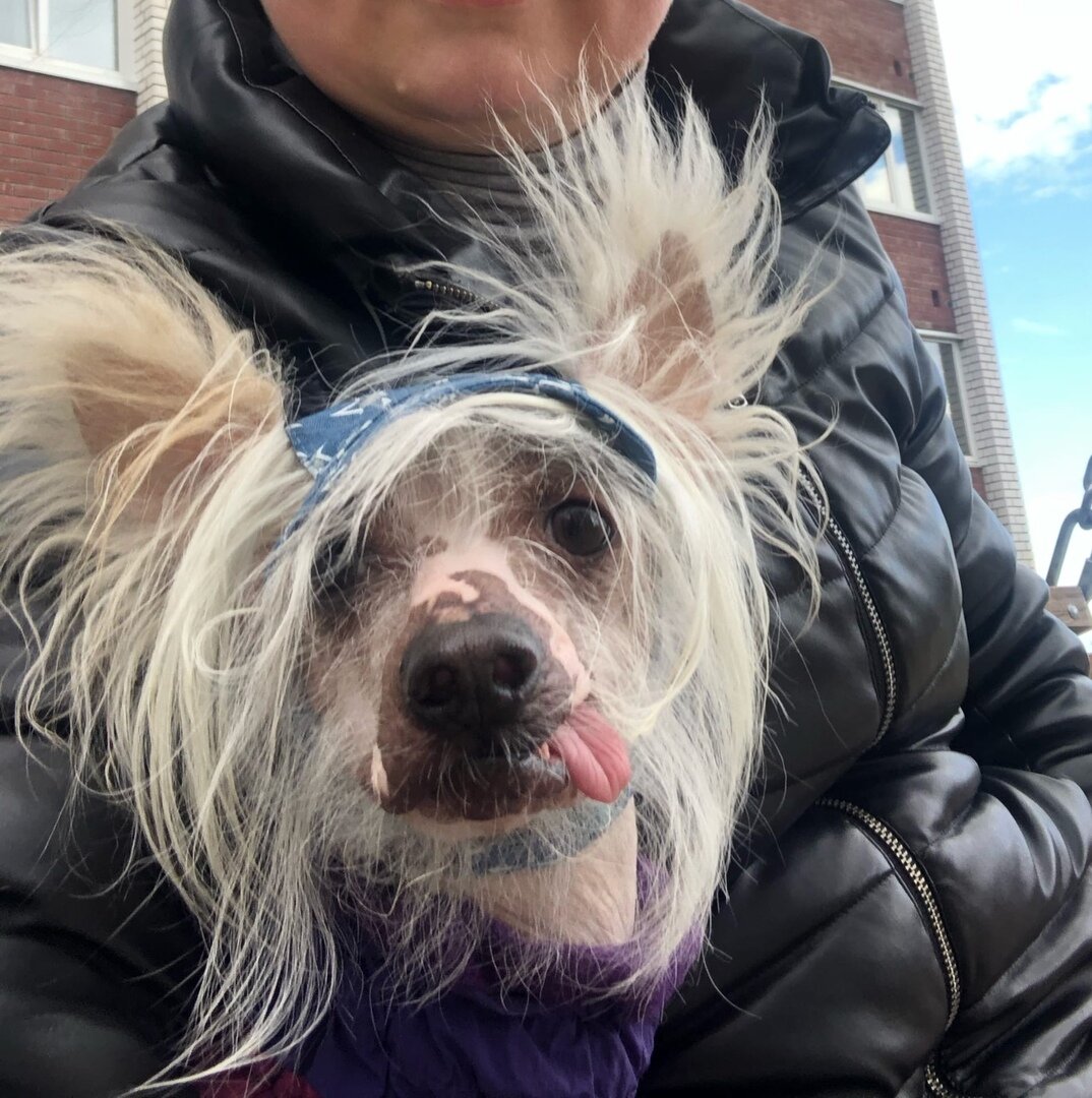 Верный друг!