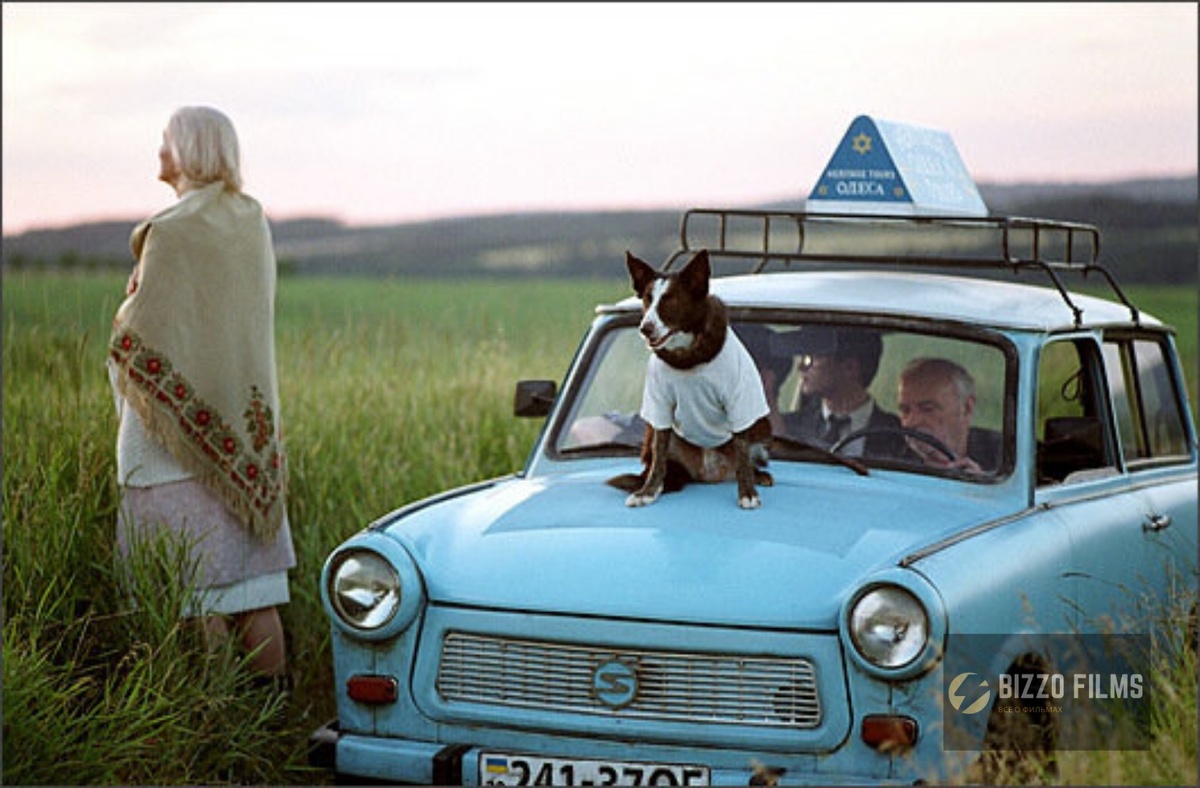 Кадры из фильма "И все осветилось"