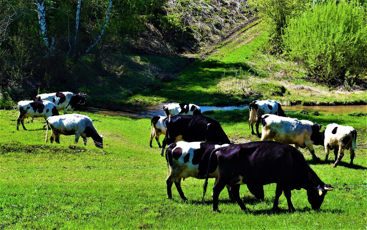 Фото автора