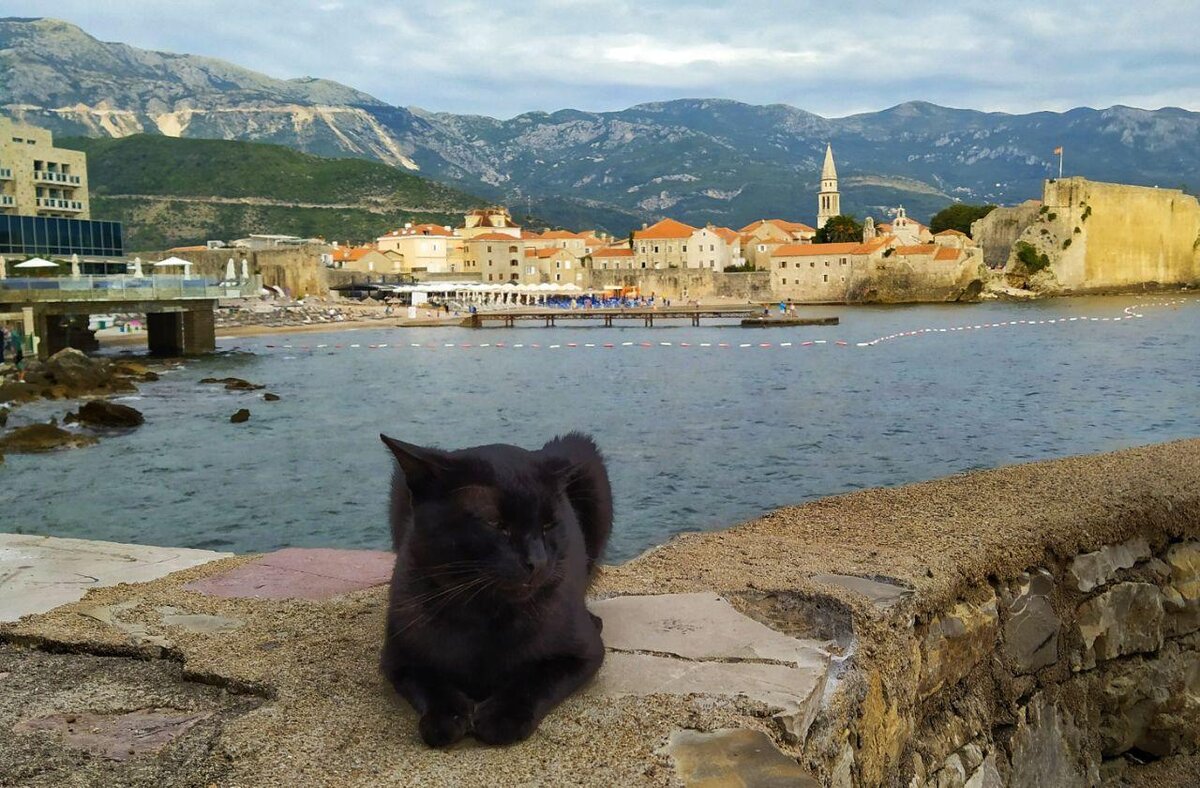 Будва, вид на Старый город.