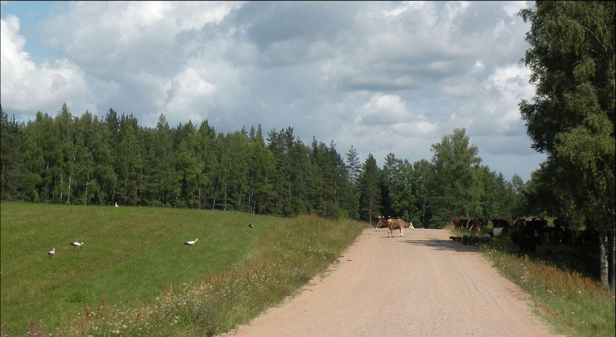 2 группы, или "земное и небесное"