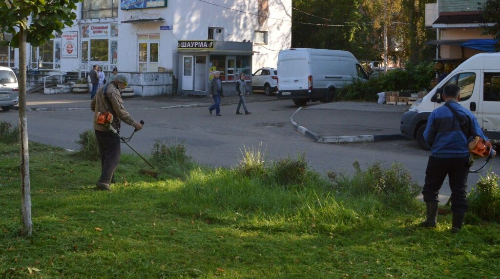 В Твери закосили под бабье лето