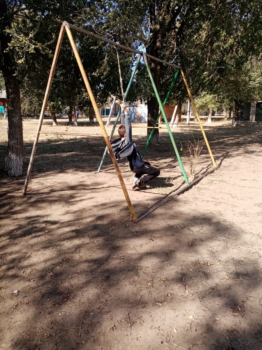 Дети привязали туда тарзанку. 