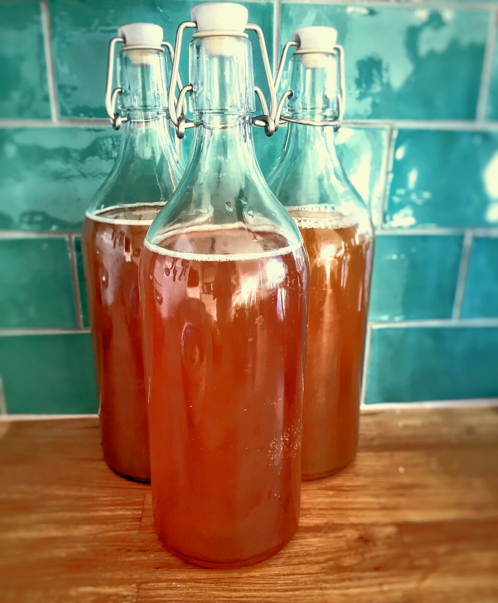 Результат работы домашней "грибной фабрики"