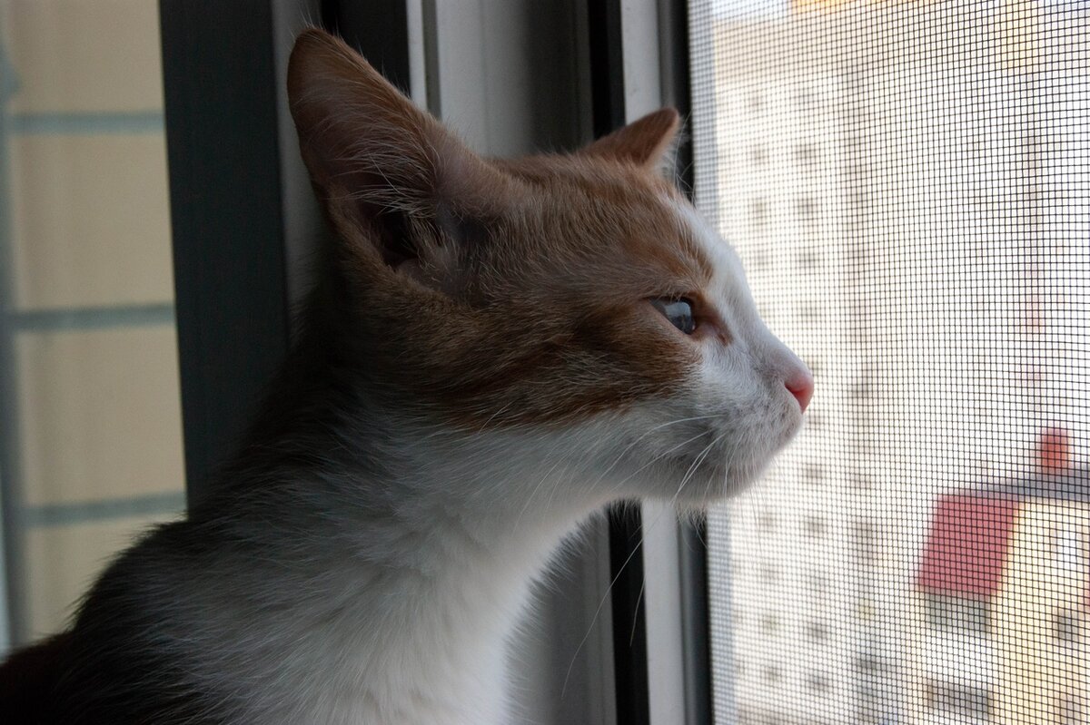 Подвальная жизнь уже в прошлом)