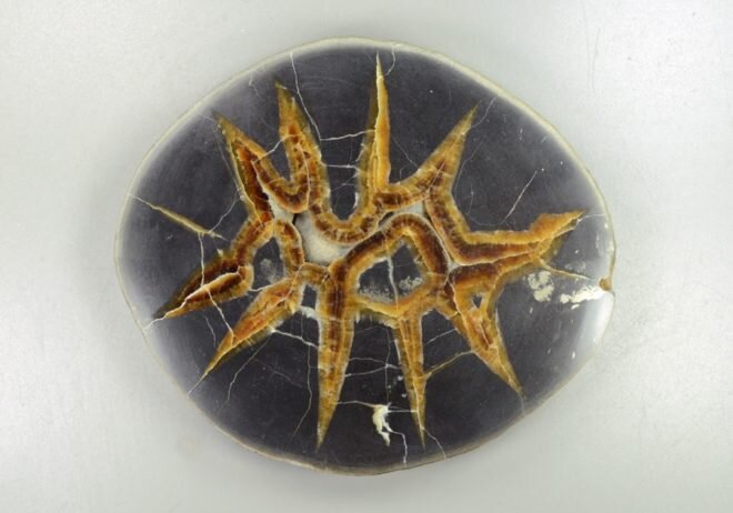 Камень септария: свойства, фото, кому подходит | Амулеты. Драгоценные ...