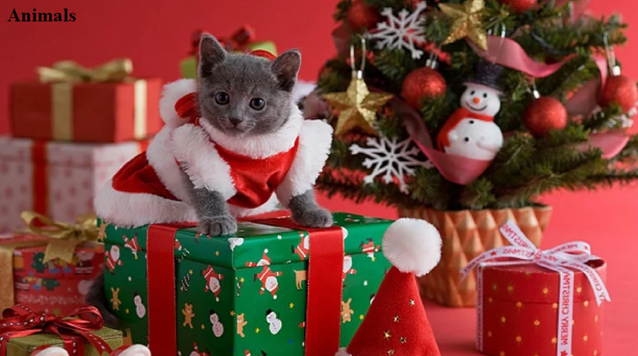 Праздник к нам приходит=)