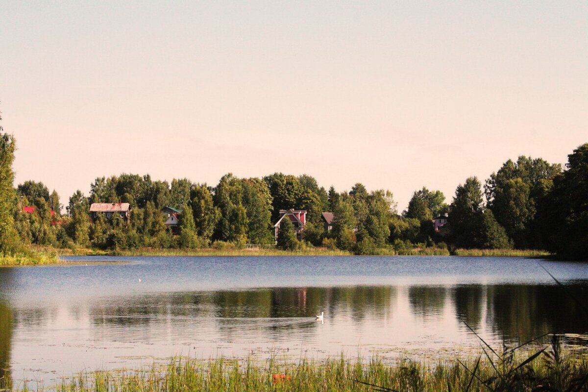 Хорошо устроились, дома прямо на берегу