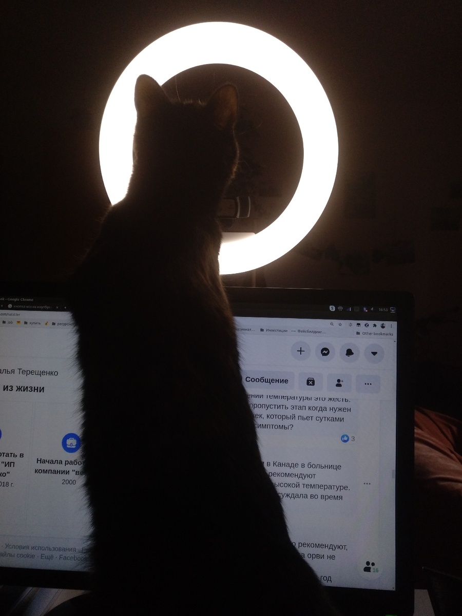 А это Шу магически пырит :)