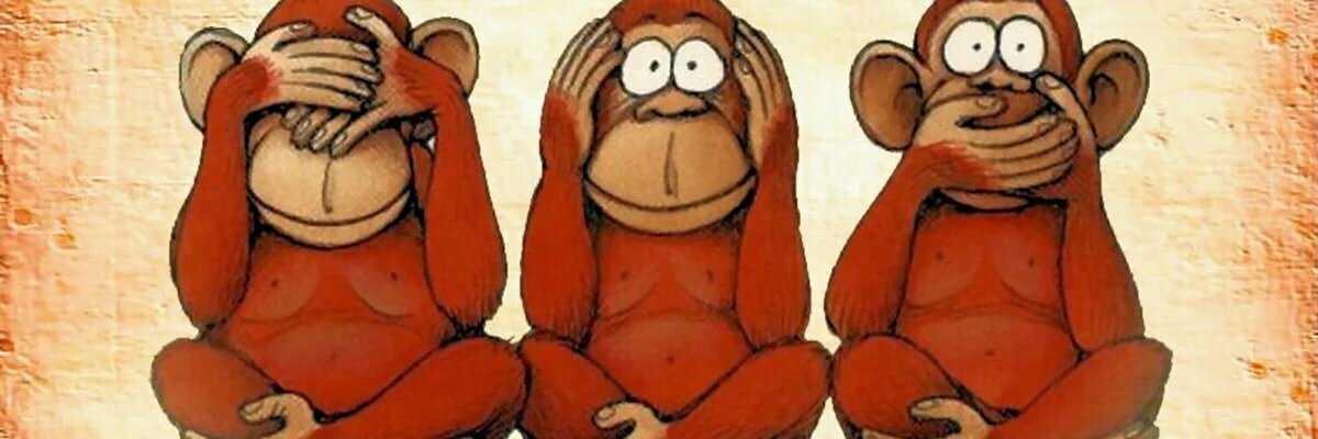 Фото взято из открытых источников информации
