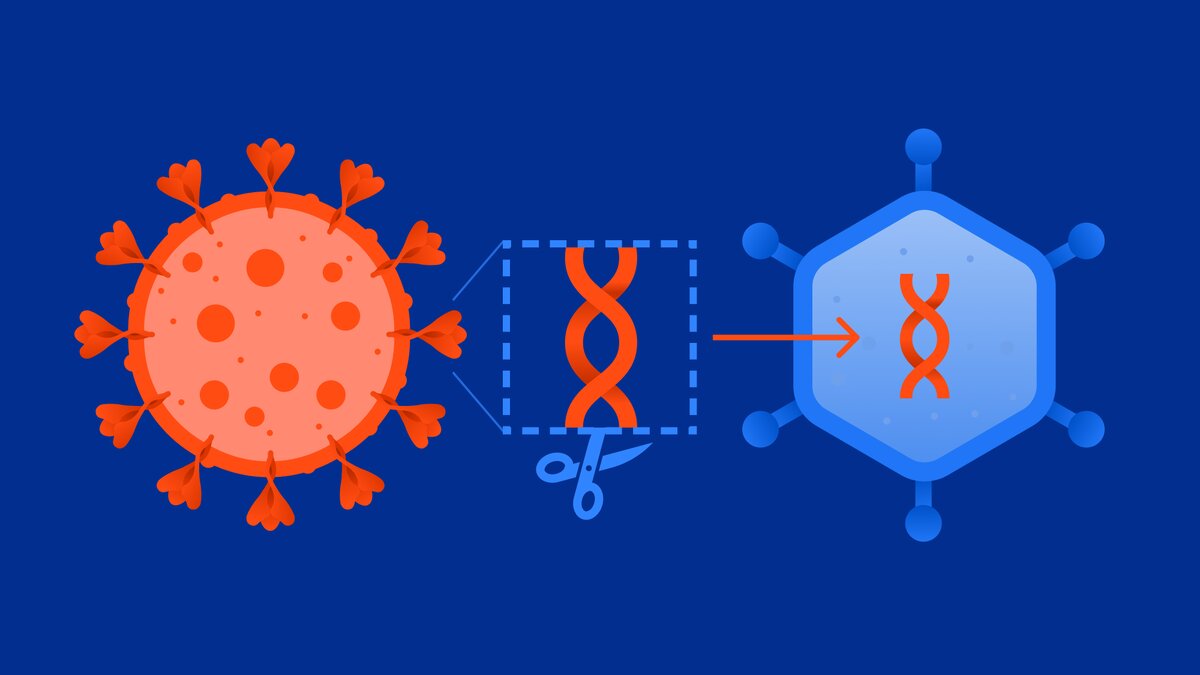 Спутник V: первая зарегистрированная вакцина от COVID-19  12 августа 2020, 13:36