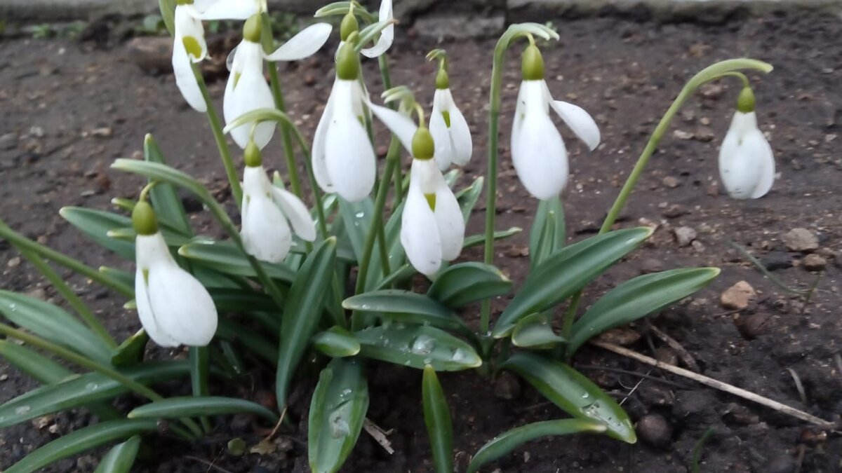 Фото Елены Лабо