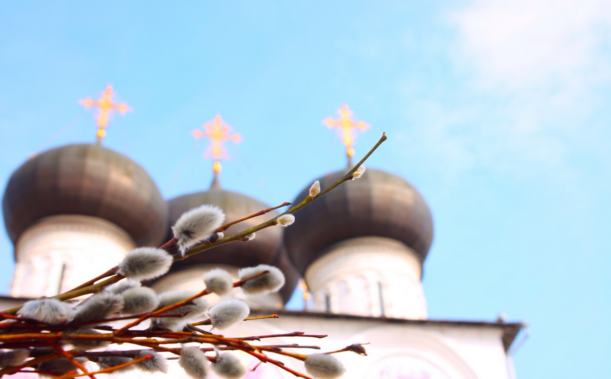 Источник: Яндекс