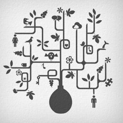 Если мы хотим применять знания психологии в своей жизни, нам важно знать целый спектр специальных психологических методов. Именно применение конкретных приёмов и соблюдение особых норм и правил могут обеспечить получение достоверных знаний. Причём эти правила и способы не могут быть выбраны спонтанно, а должны быть продиктованы особенностями исследуемого психологического явления. Наша задача в данном уроке состоит в том, чтобы рассмотреть основные методы изучения психологии и их классификацию, дать им характеристику и привести действенные советы и рекомендации, чтобы каждый читатель мог воспользоваться ими в повседневной жизни.

Методы психологии возвращают исследователя к исследуемому объекту и углубляют его понимание. По сути, методы есть способ изучения реальности. Любой из методов состоит из нескольких операций и приёмов, которые осуществляются исследователем в процессе изучения объекта. Но каждому методу соответствует только ему присущий вид этих приёмов и операций, соответствующих целям и задачам исследования. На основе только одного какого-то метода может быть создано несколько методик. Неоспоримым фактом является и то, что у психологической науки нет какого-то однозначного комплекса методов исследования.