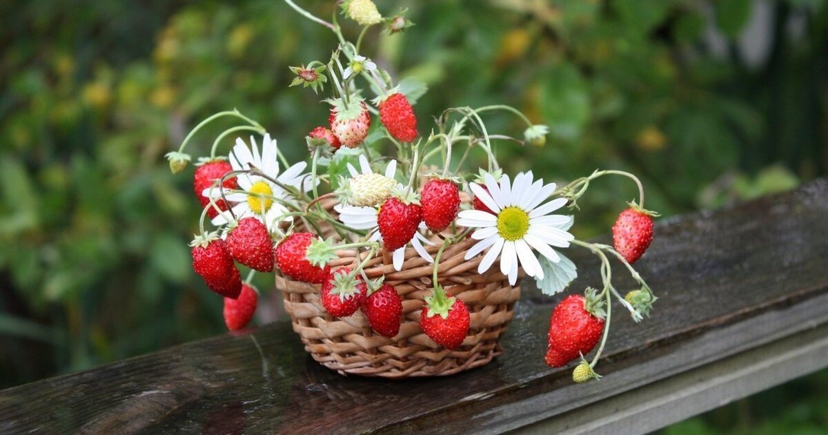 Фото из открытых источников.