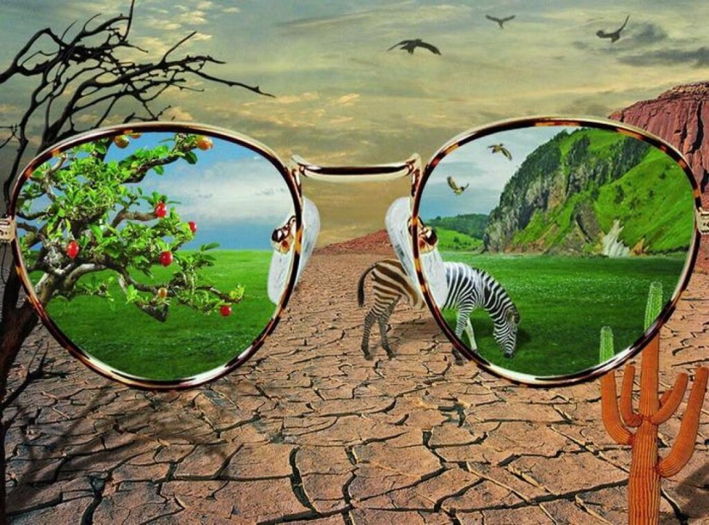 Яндекс.Картинки