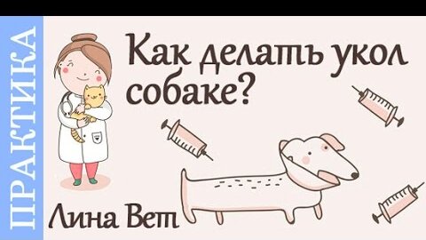 Как сделать уколы собаке?